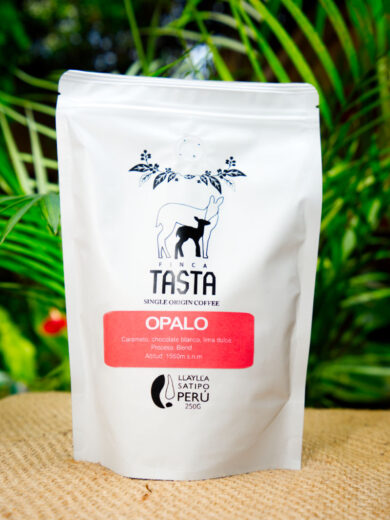 Finca Tasta café | De nuestra finca a tu taza 13 opaloweb